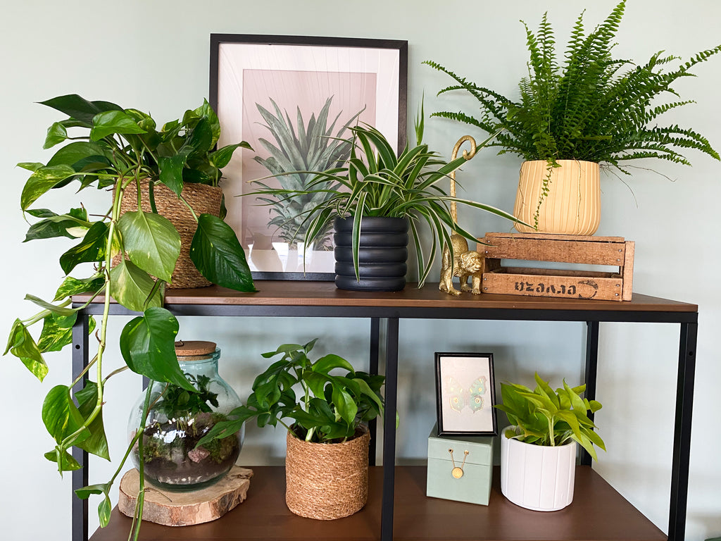 Wohnzimmer Ideen zum gemütlich machen.