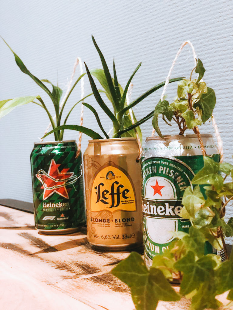 Plantsome's Green Friday -  8 grüne Tipps