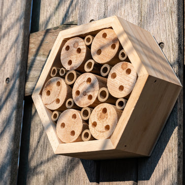 Bienenhotel | Plantsome