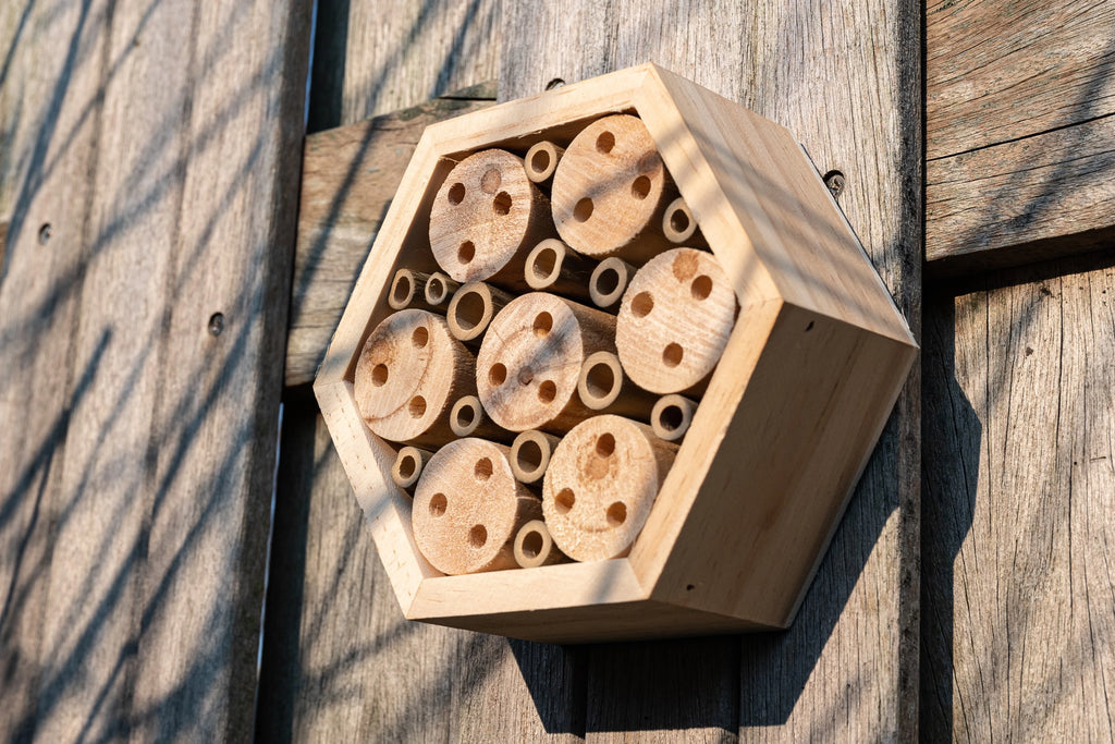 Fördere Biodiversität mit diesen 3 Produkten!