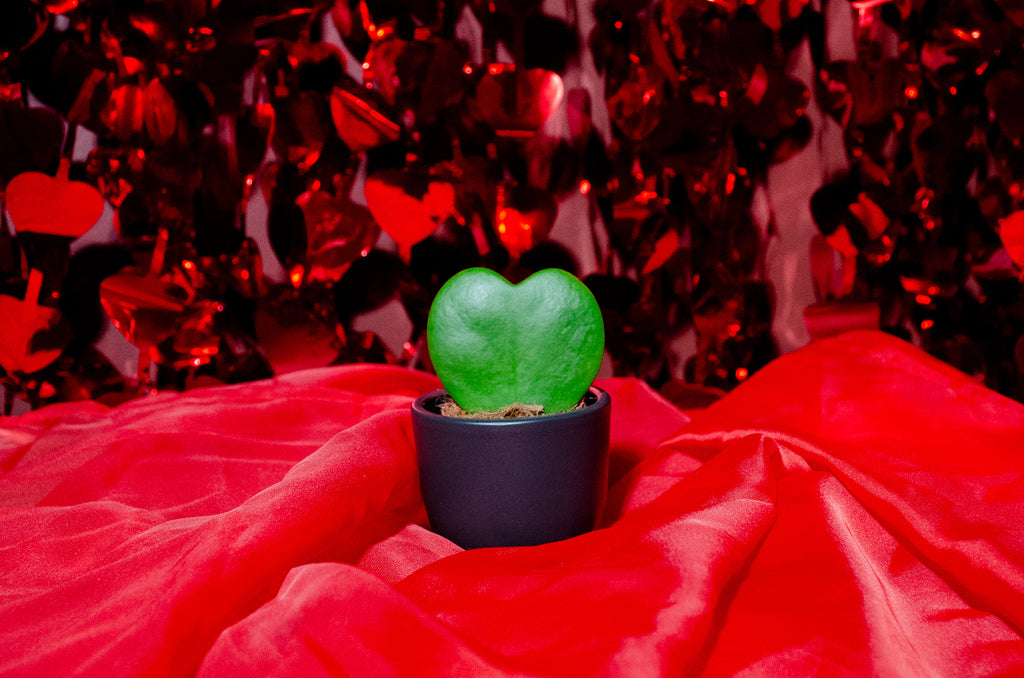 Top 8 der originellsten Valentinstag Geschenke.