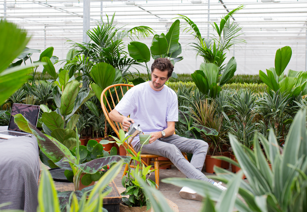 Kennst du schon Green Friday?