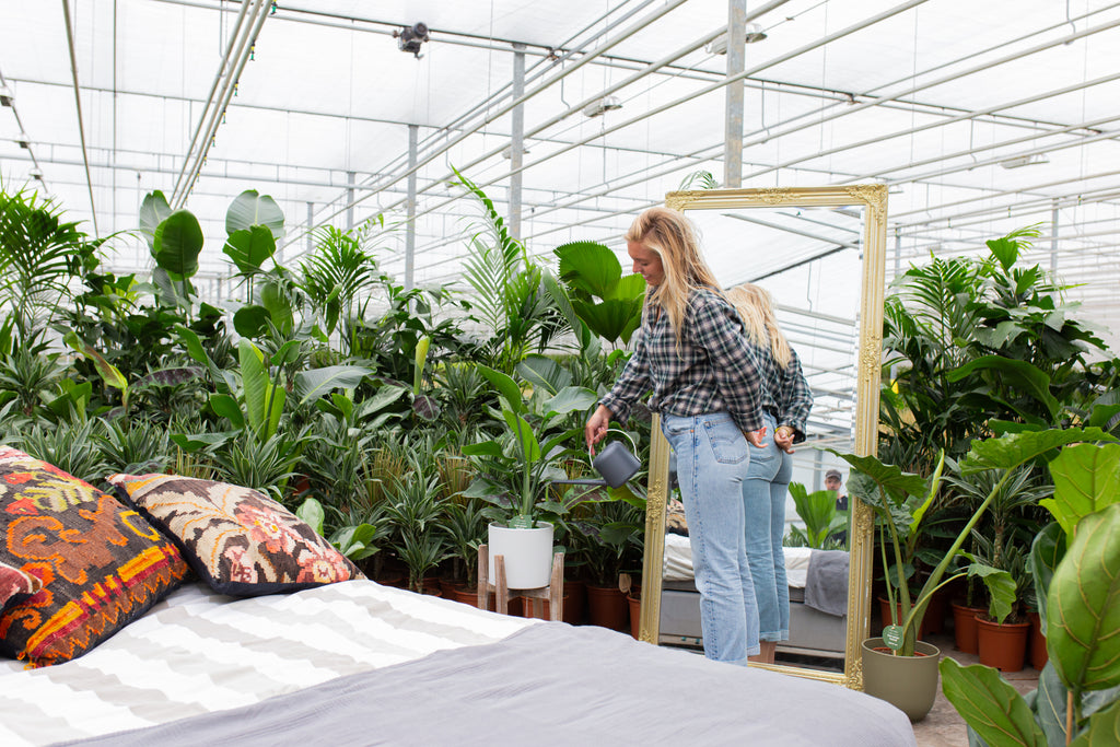 6 Tipps fürs Pflanzen-Bewässern im Urlaub