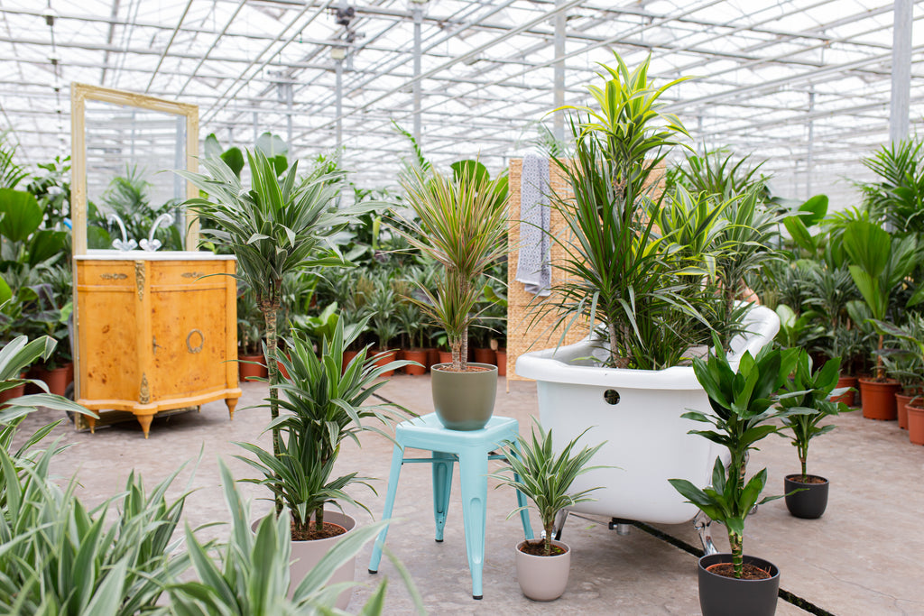 Die besten grünen Tipps für den Alltag