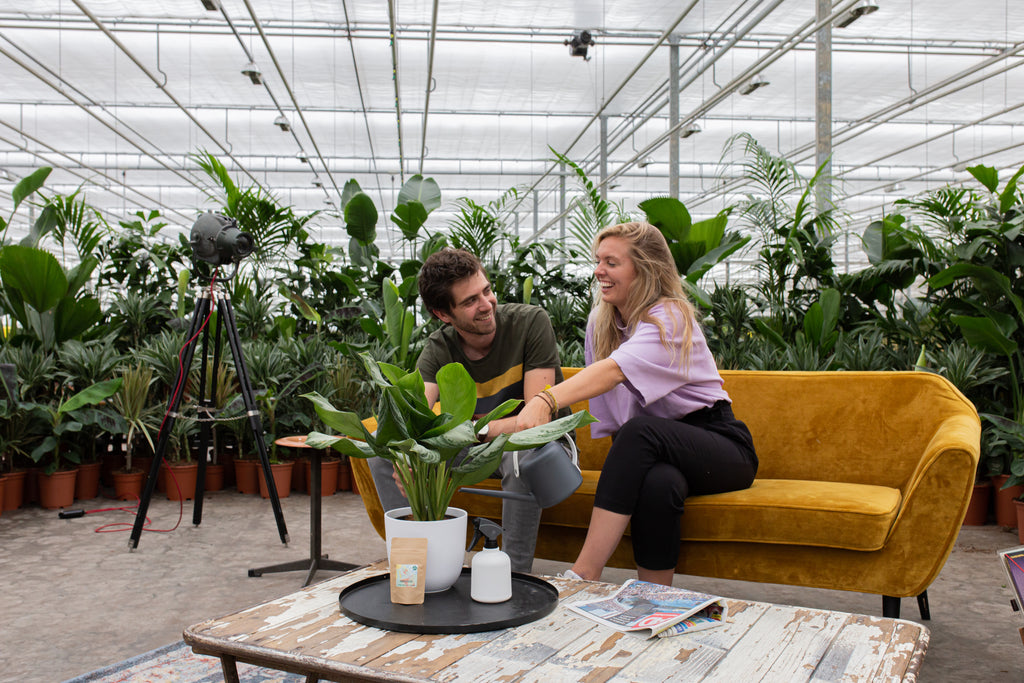 Gießen und Düngen im Frühling