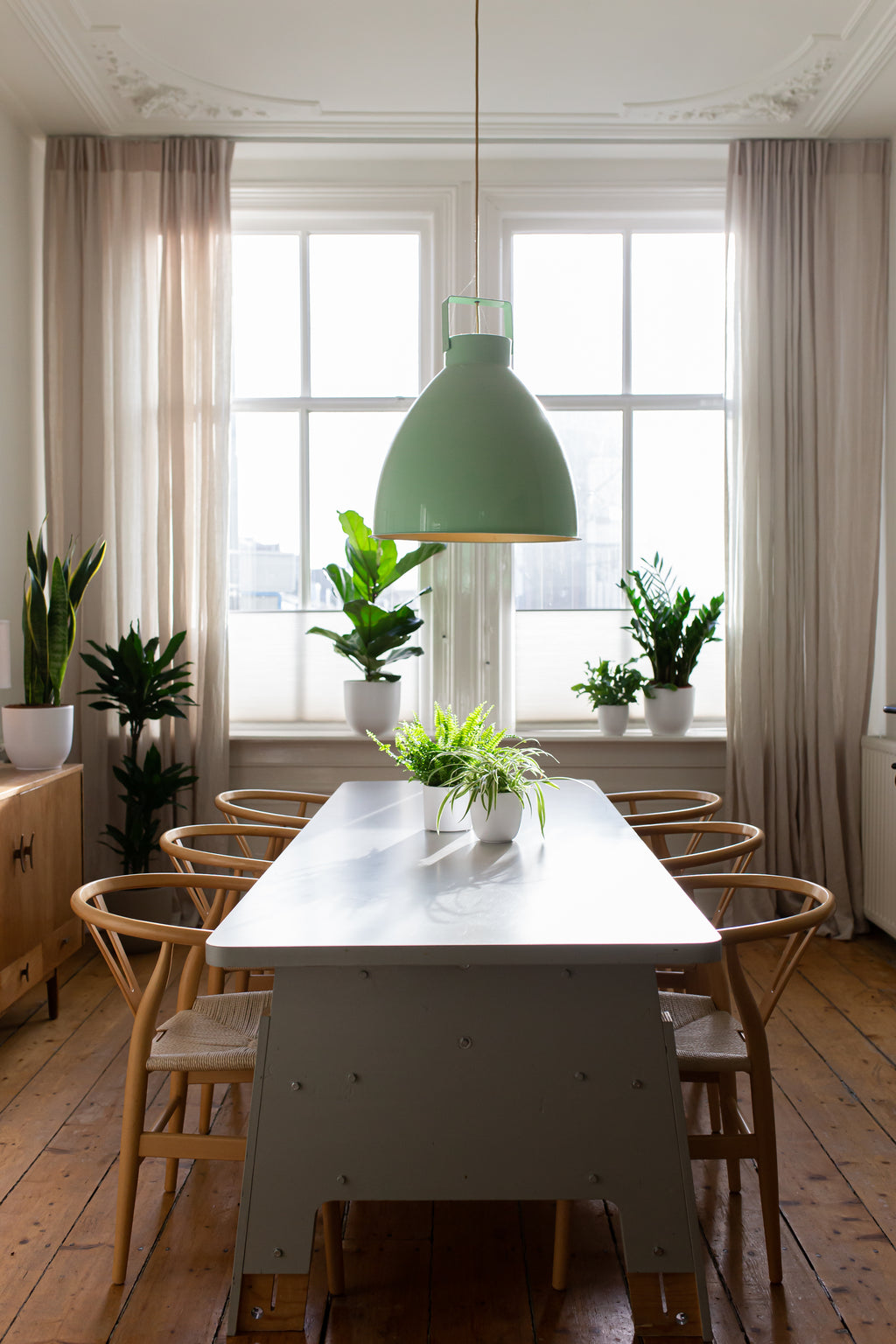 Die perfekten Standorte für deine Pflanzen