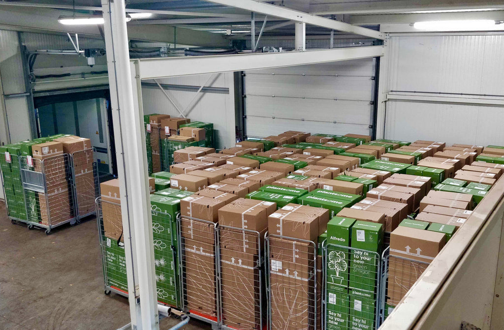 Bestell- und Lieferupdates von Plantsome