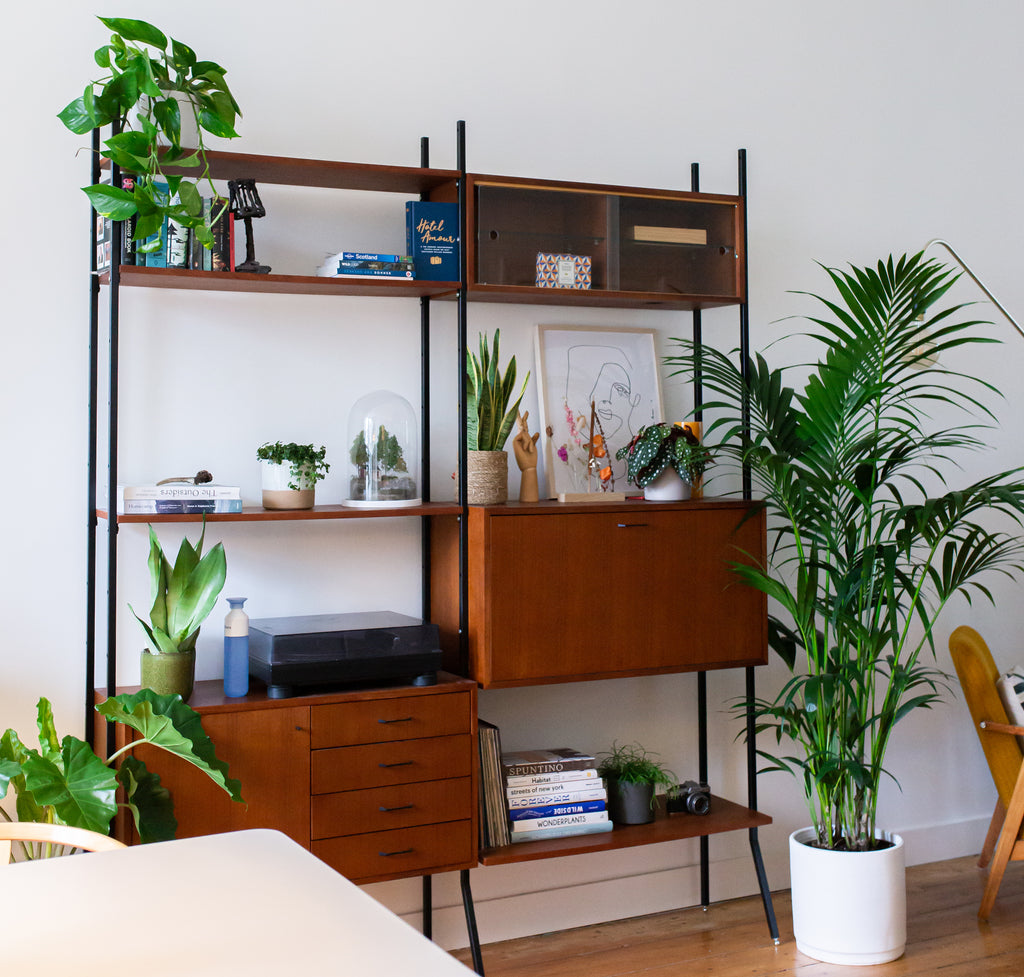 Raumteiler Ideen mit Pflanzen