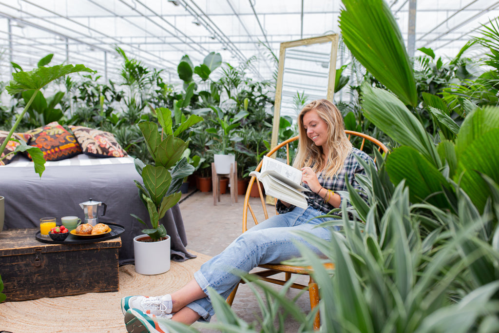 Dein Urban Jungle: Pflanzen fürs Dschungel-Zimmer