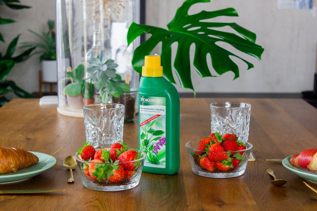 Alles über Pflanzennahrung