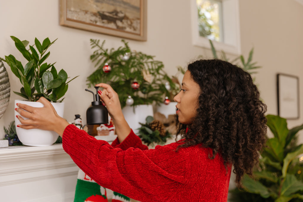 Wie bringe ich meinen Amigo gut durch den Winter?