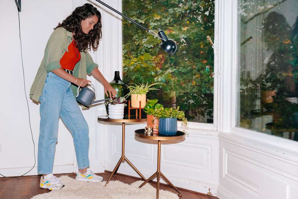 3 ziemlich gute Gründe für (noch) mehr Zimmerpflanzen