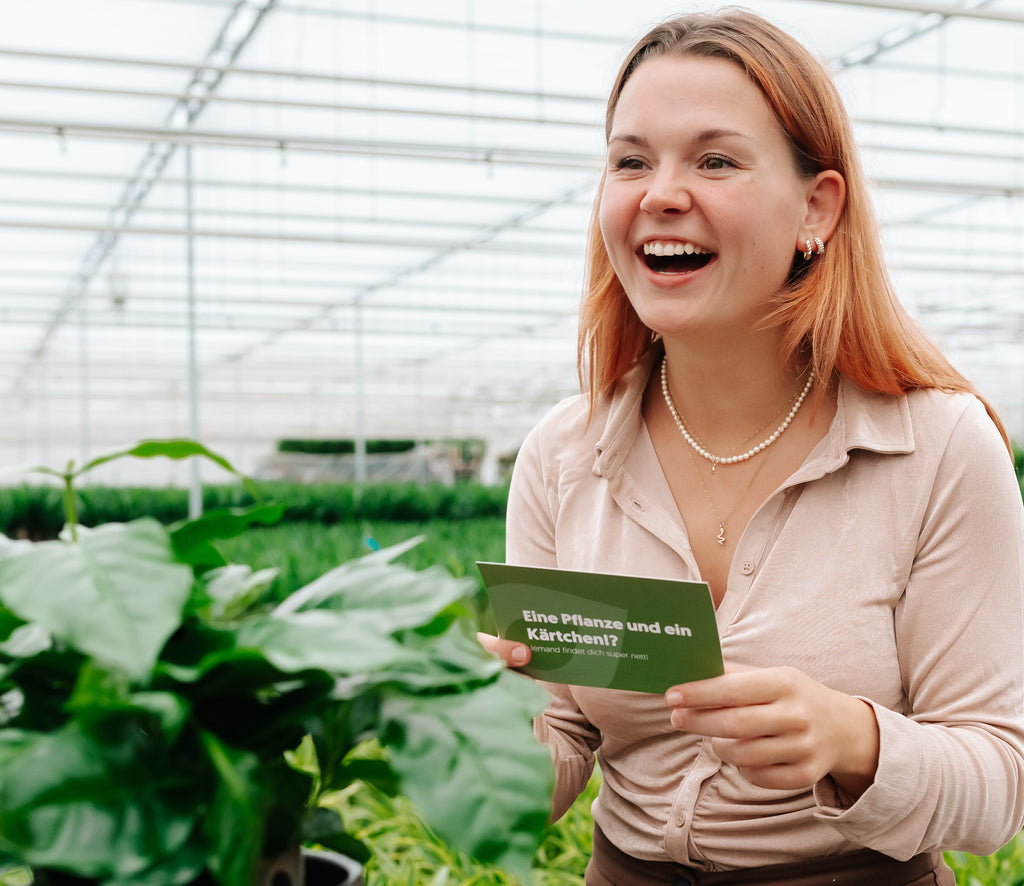Zimmerpflanzen verschenken leicht gemacht!