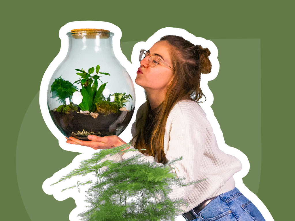 In 5 Schritten deinen Flaschengarten bauen | Das Terrarium Boris