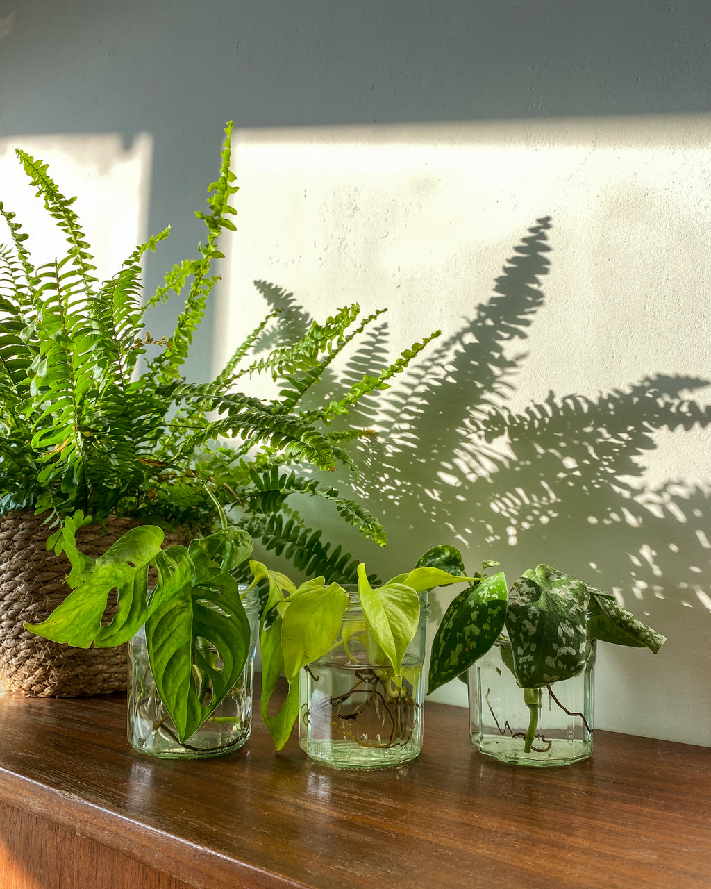 So wirst du ein Vermehr-Expert!