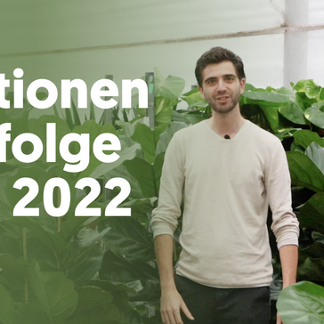 Die Lektionen und Erfolge von 2022