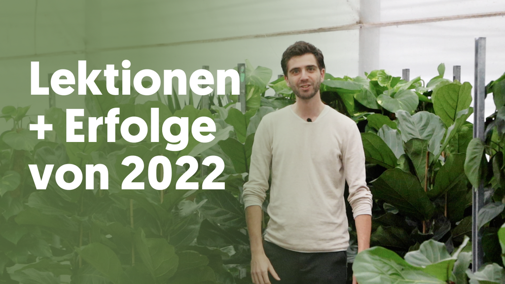 Die Lektionen und Erfolge von 2022