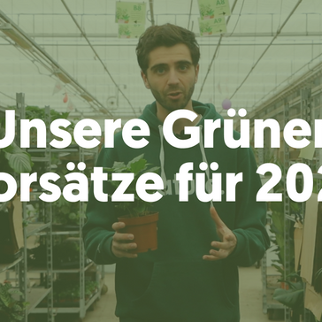 Unsere Grünen Vorsätze für 2023