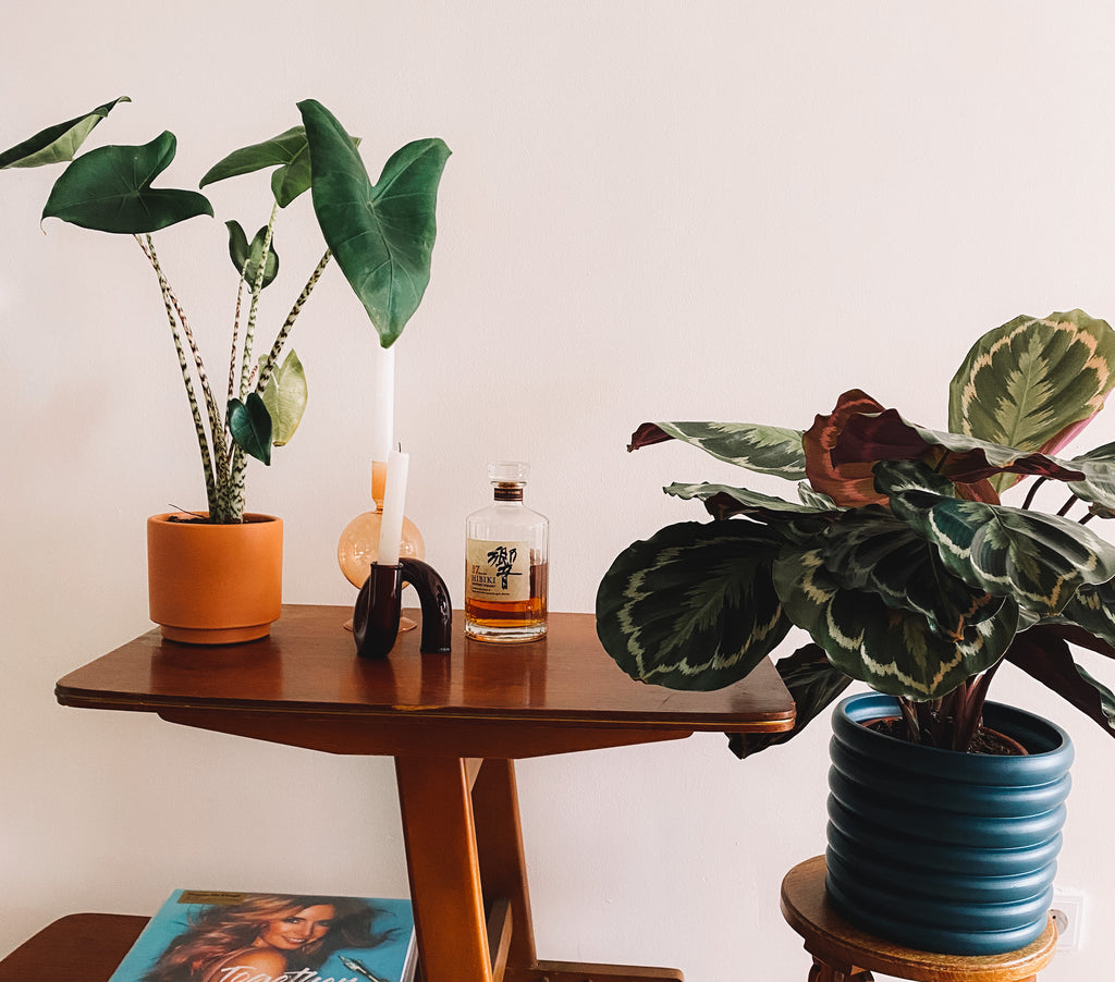 Der perfekte Topf für jeden Einrichtungsstil