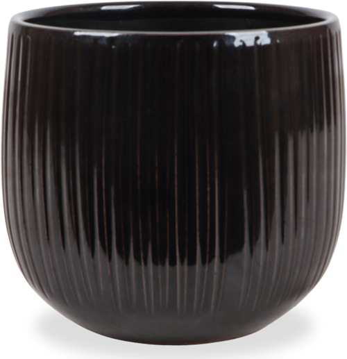 Amazing Aglaonemas - Töpfe Luxurious