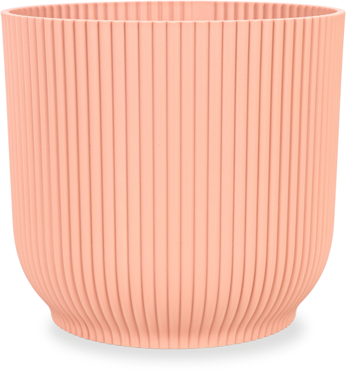 Amazing Aglaonemas - Töpfe Modern