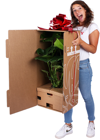 Für jedes Budget etwas dabei.