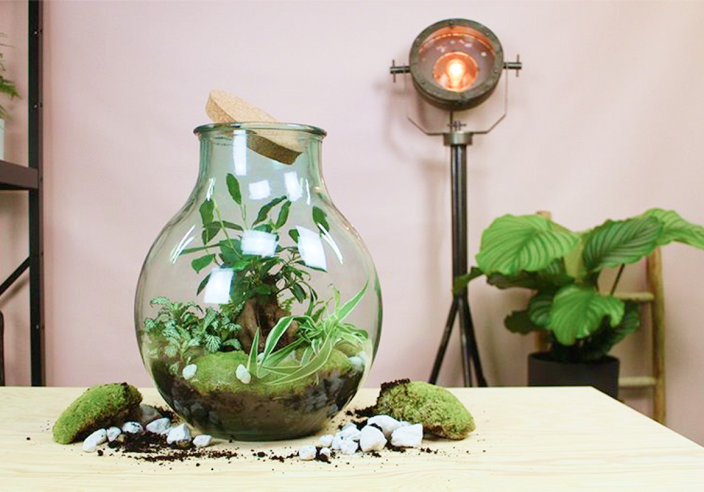 Unser Lieblings-Geschenk: