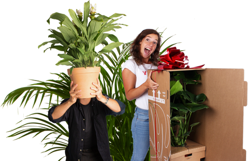 Für jedes Budget etwas dabei.