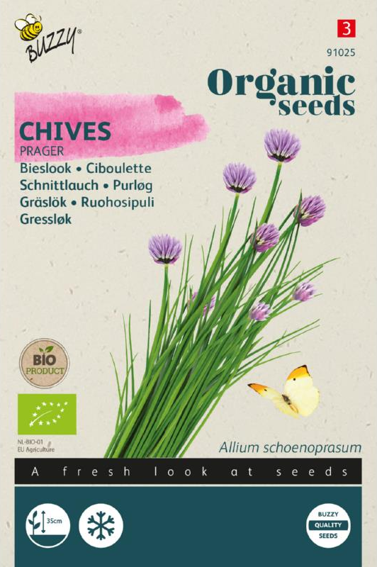 Schnittlauch Prager Samen BIO