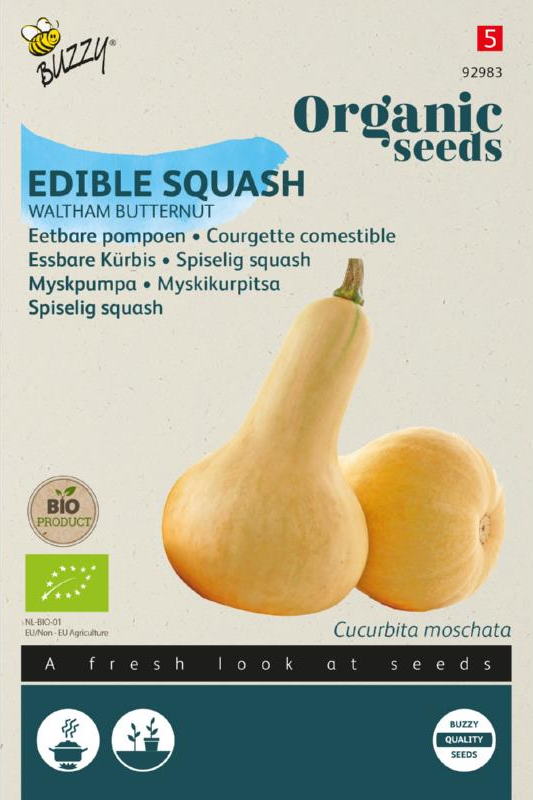 Essbare Kürbis Waltham Butternut Samen BIO