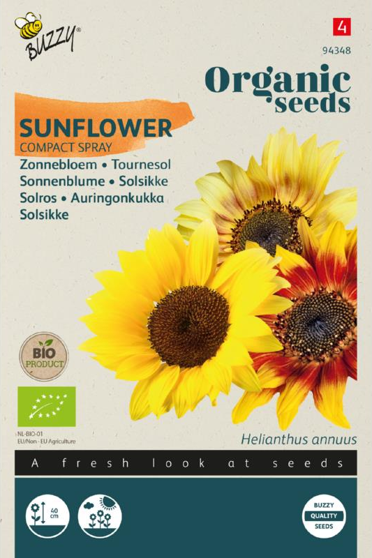 Sonnenblume Compact Spray Samen BIO