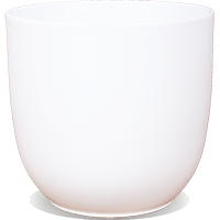 Amazing Aglaonemas - Töpfe Basic