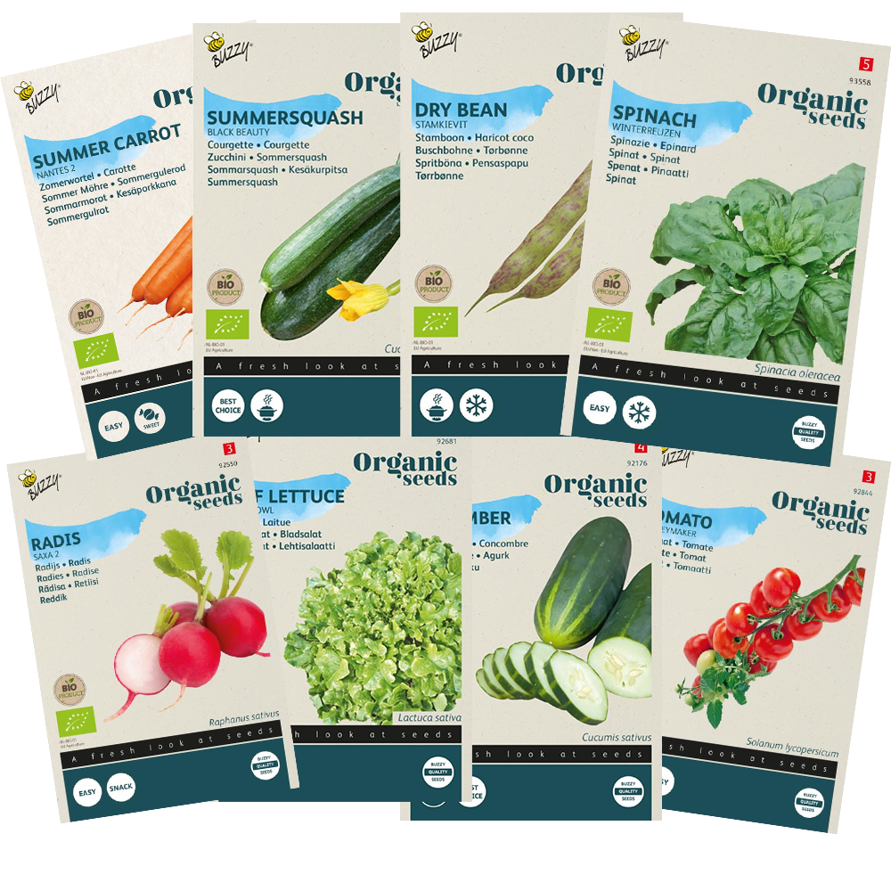 Starterkit Samen – Gängiges Gemüse
