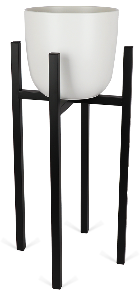 Ascot (34cm) Schwarz & Boule (28cm) Weiß