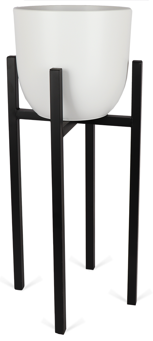 Ascot (37,5cm) Schwarz & Boule (31cm) Weiß