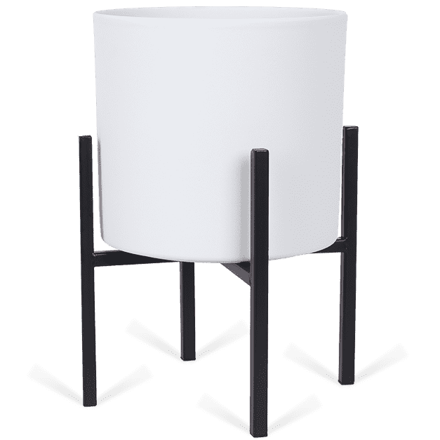 Ascot Schwarz (24cm) & Era (23cm) Weiß