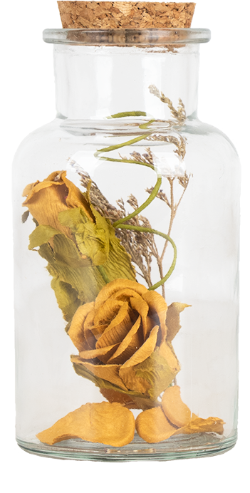 Trockenblumen im Glas