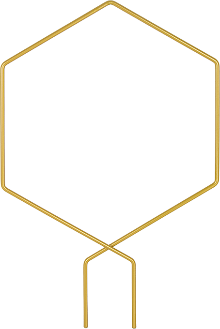 Pflanzenstütze dekorativ (Gold)