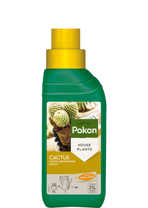 Kaktusdünger (250 ml) - Pokon