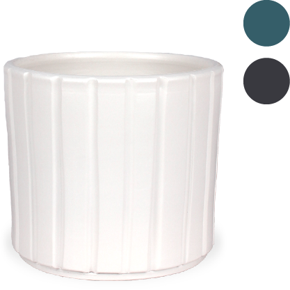 Pflegeleichte 7er Truppe - Töpfe Luxurious